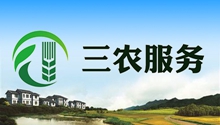 1578384590879784.jpg 3-_副本.jpg